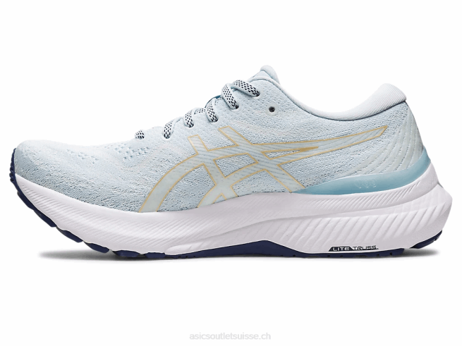 gel-kayano 29 ciel/champagne Asics L6N0K2384