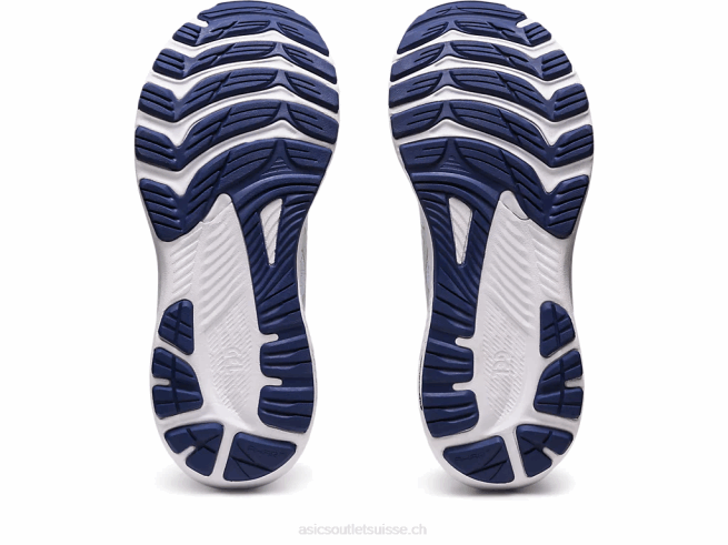 gel-kayano 29 large ciel/champagne Asics L6N0K2407