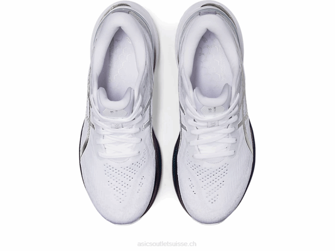 gel-kayano 29 platine blanc/argent pur Asics L6N0K3132