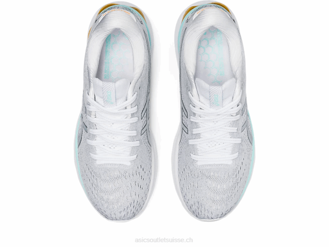 gel-nimbus 24 blanc/argent pur Asics L6N0K3234