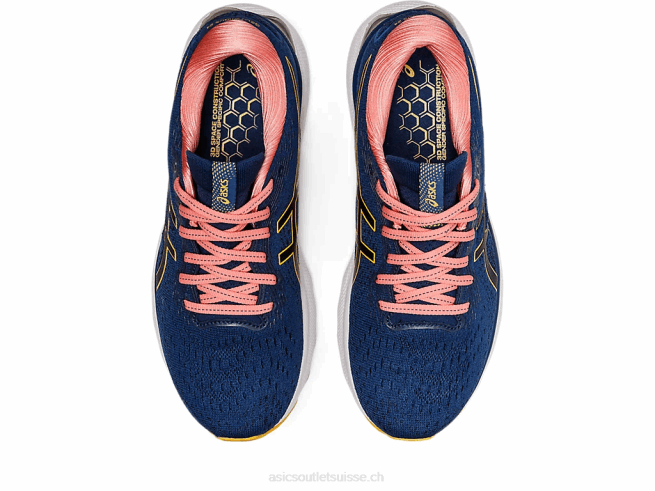 gel-nimbus 24 bleu nuit/jaune tigre Asics L6N0K2667