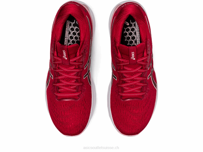 gel-nimbus 24 canneberge/rose givrée Asics L6N0K2682