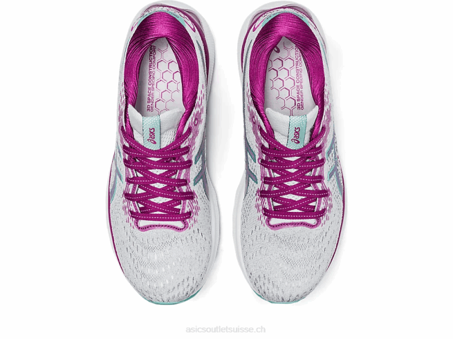 gel-nimbus 24 ombre polaire/sauge Asics L6N0K2659