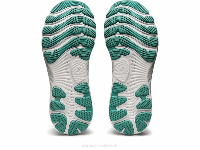 gel-nimbus 24 ombre polaire/sauge Asics L6N0K2659