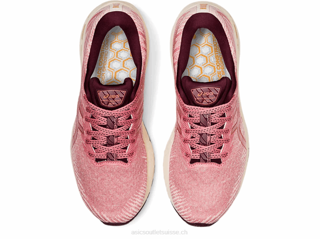 gt-2000 10 rose fumé/bronze pur Asics L6N0K3703