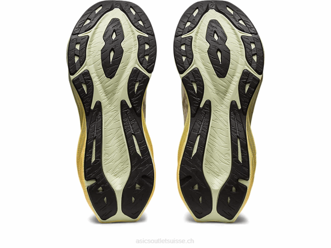 novablast 3 crème/fauve Asics L6N0K2870