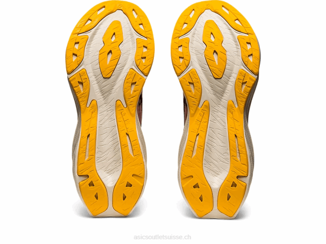 novablast 3 rose givré/mars profond Asics L6N0K2951