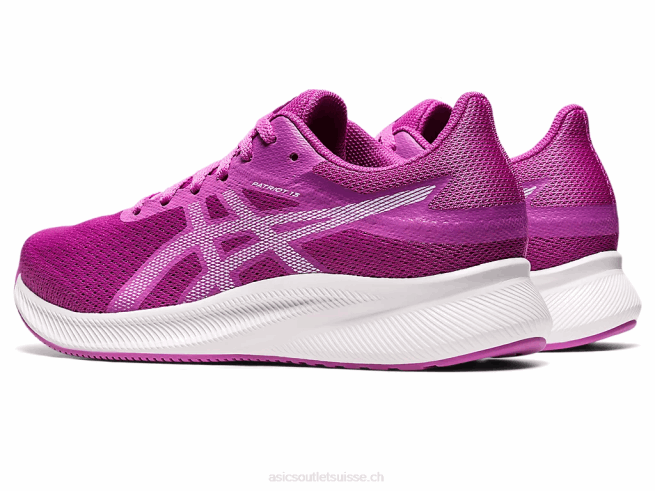 patriote 13 orchidée/ciel doux Asics L6N0K3152