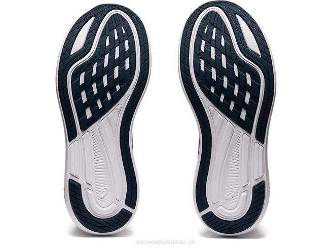 évoride 2 bleu français/raisin numérique Asics L6N0K3986