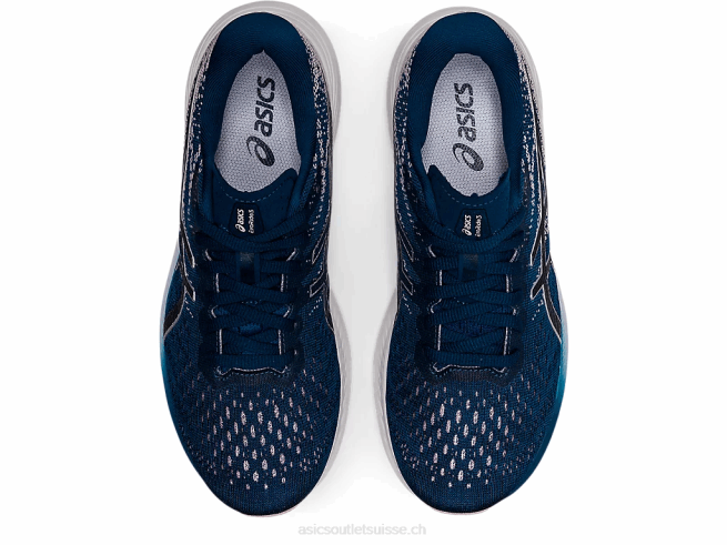 évoride 3 bleu mako/argent pur Asics L6N0K3167