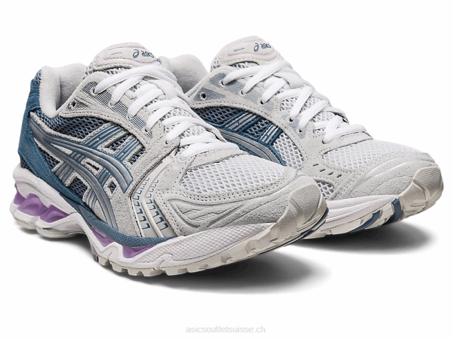 gel-kayano 14 gris glacier/argent pur Asics L6N0K2604