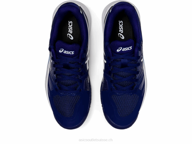 gel-challenger 13 bleu plongeant/ciel doux Asics L6N0K3121