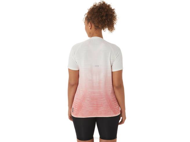 haut sans couture à manches courtes pour femmes crème/papaye Asics L6N0K2441