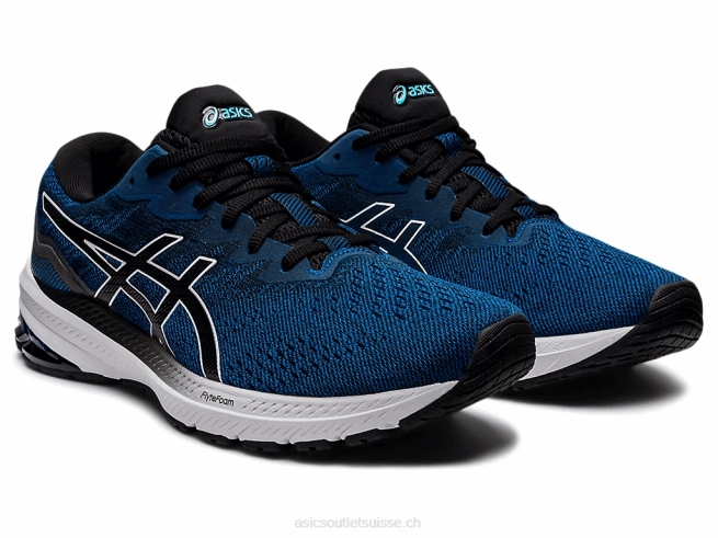 GT-1000 11 Lake Drive/noir Asics L6N0K1276