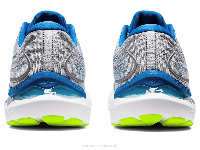 gel-cumulus 24 plaques de roche/lake drive Asics L6N0K1310