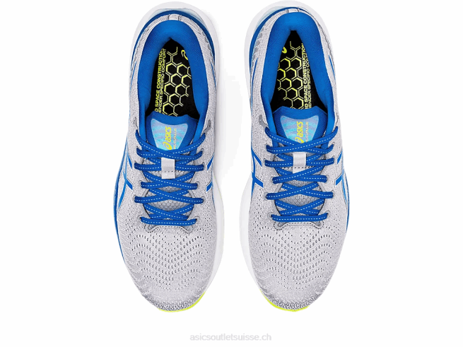 gel-cumulus 24 plaques de roche/lake drive Asics L6N0K1310