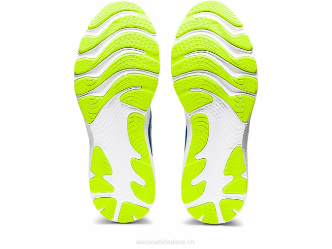 gel-cumulus 24 plaques de roche/lake drive Asics L6N0K1310