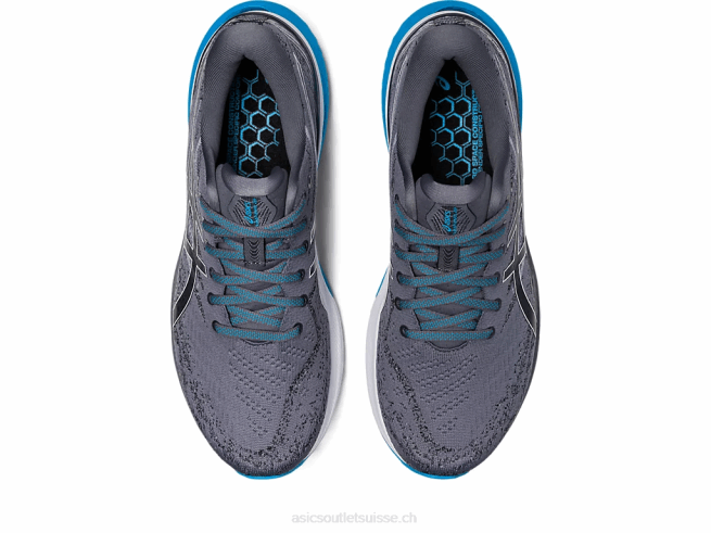 gel-kayano 29 métropole/blanc Asics L6N0K367