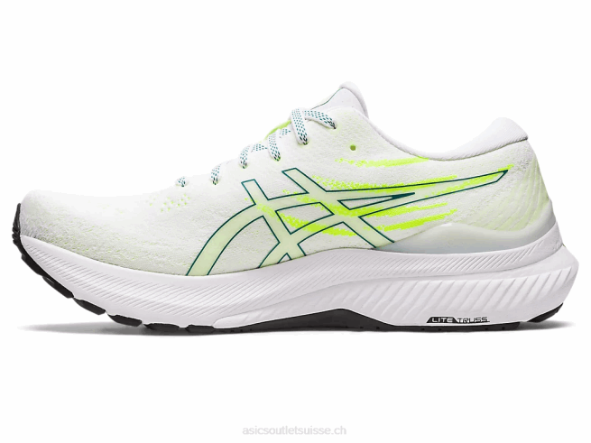gel-kayano 29 pin blanc/velours Asics L6N0K1178