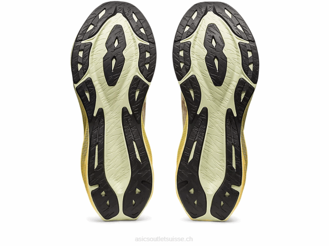 novablast 3 crème/fauve Asics L6N0K376