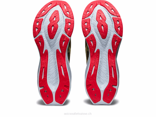 novablast 3 minuit/huile d'olive Asics L6N0K388