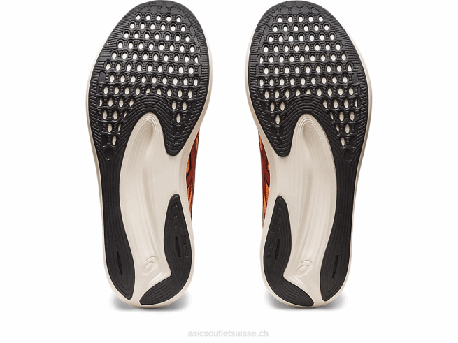 éviter la vitesse latte aux épices/noir Asics L6N0K501