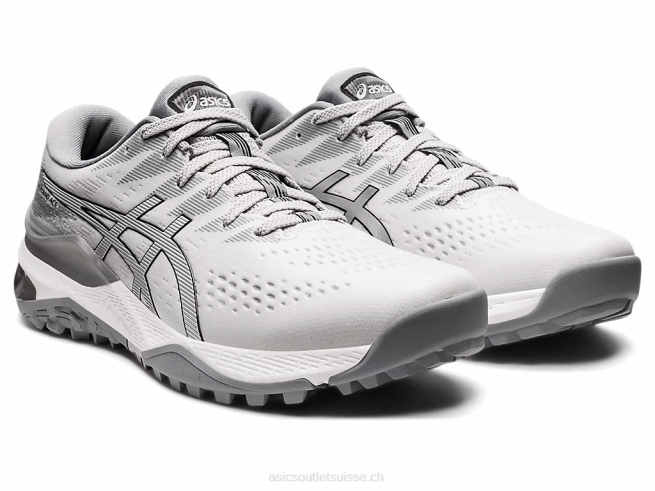 gel-kayano as gris glacier/argent pur Asics L6N0K1192