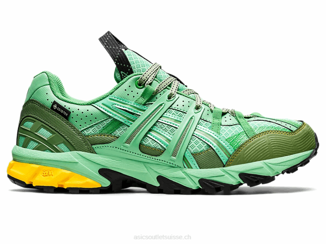 hs4-s gel-sonoma 15-50 gtx bouquet printanier/bleu graphite Asics L6N0K1248