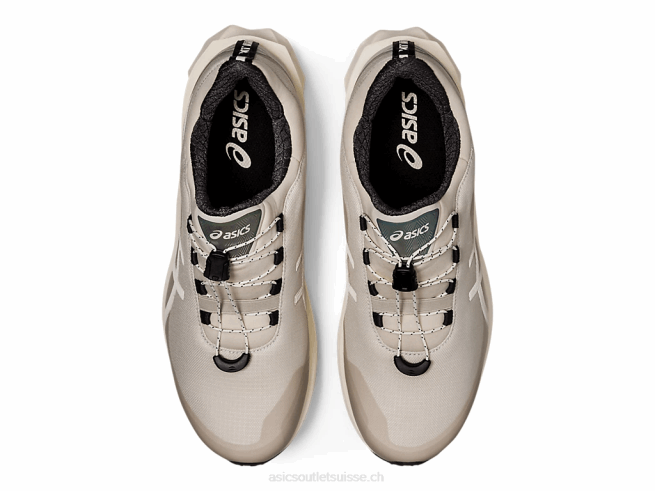 novablast sps gris fumé Asics L6N0K2021