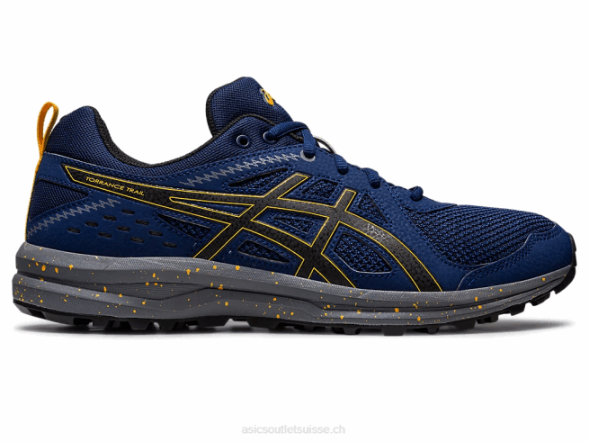 sentier de torrance étendue bleue/noir Asics L6N0K989