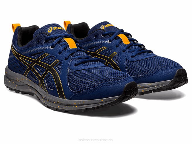sentier de torrance étendue bleue/noir Asics L6N0K989