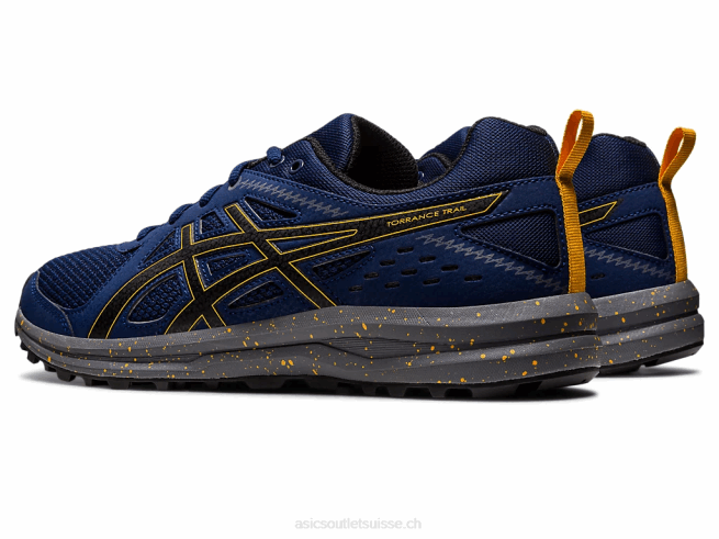 sentier de torrance étendue bleue/noir Asics L6N0K989