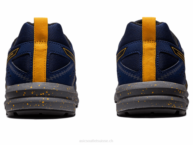 sentier de torrance étendue bleue/noir Asics L6N0K989