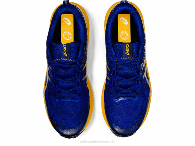 fuji lite 2 bleu monaco/tournesol Asics L6N0K1866