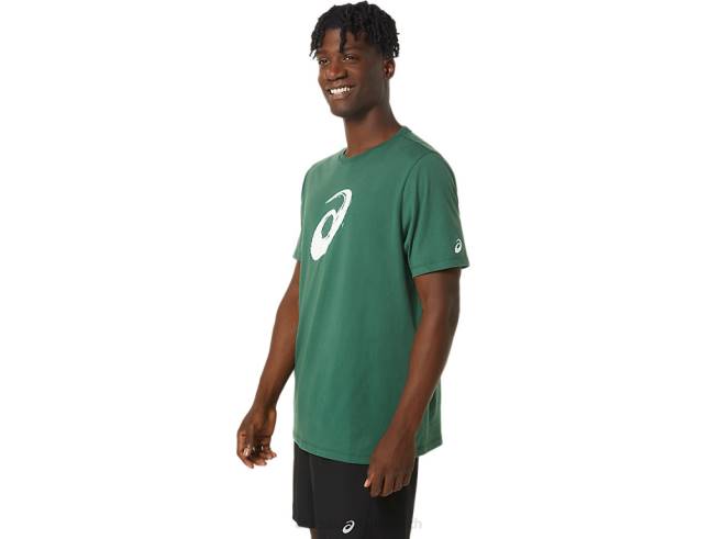 t-shirt pinceau à manches courtes vert Chasseur Asics L6N0K879